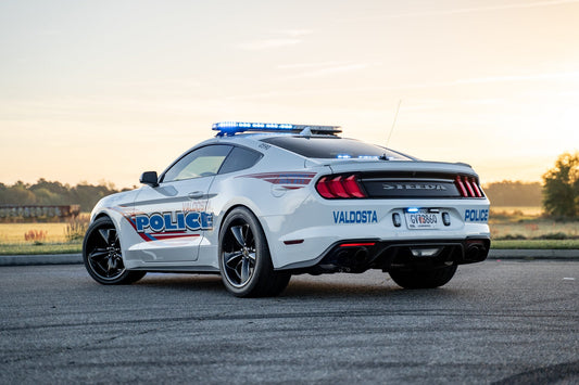 AWE TEAMS UP WITH STEEDA, RUMBLES WITH LAW ENFORCEMENT