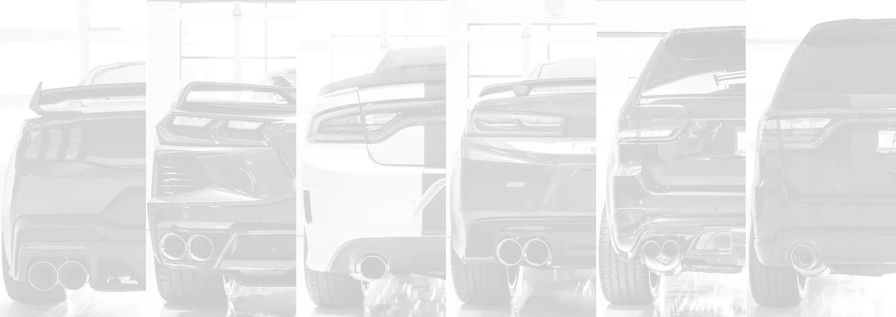 Modern Muscle